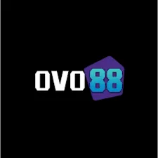 OVO88 - Aplikasi Utility Terbaik untuk Memudahkan Aktivitas Harian Anda